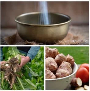 Does inulin raise blood sugar Does inulin raise blood sugar