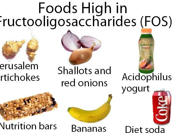 inulin foods