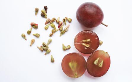 What is grape seed extract for What is grape seed extract for