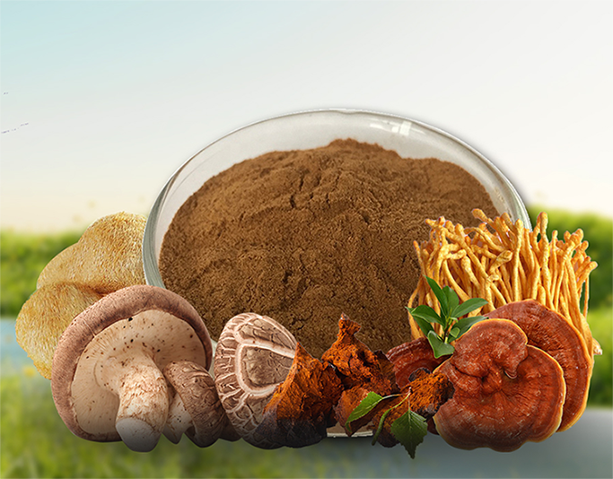 Mushroom Blend OEM Producent