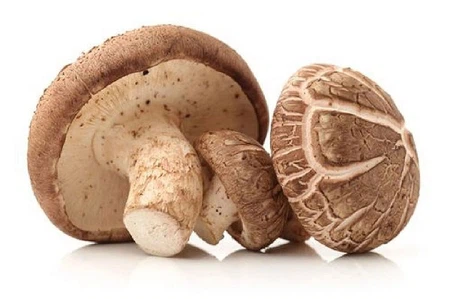 shiitake mushroom shiitake mushroom