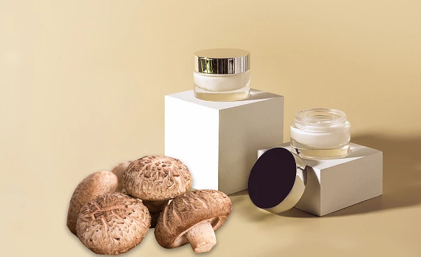 shiitake mushroom extract application shiitake mushroom extract application