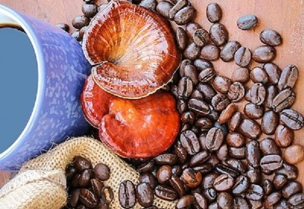 mushroom powder coffee mushroom powder coffee