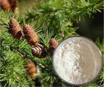 Valg af den rigtige kvalitet af dihydroquercetin til din formulering