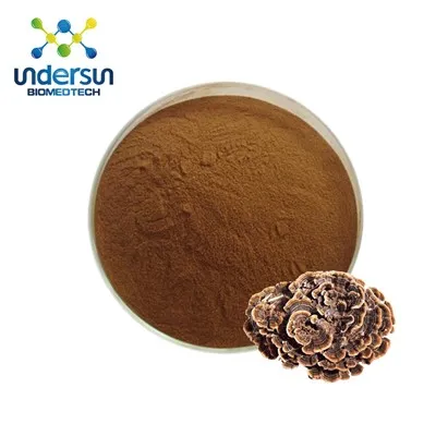 Økologisk kalkunhale svampeekstrakt