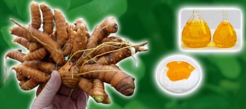 Curcumin i feed applikation