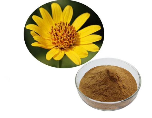 Arnica Pulver
