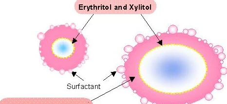 xylitol vs erythritol