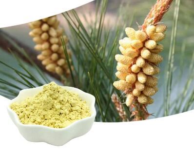 Pine Pollen Powder