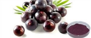 Acai bær juice pulver