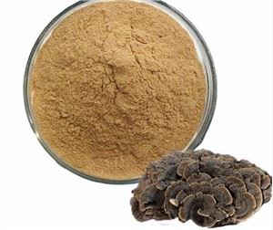 Cloud Mushroom Extract