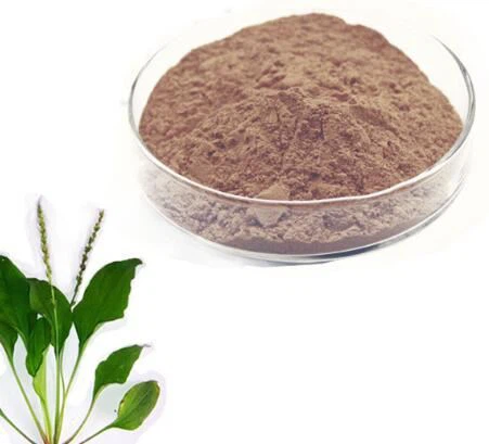 Plantago Psyllium pulver