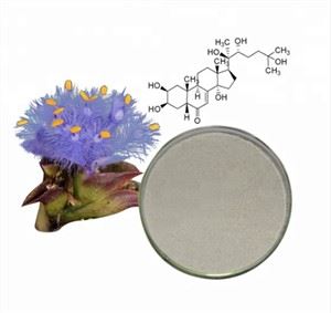 Beta Ecdysteron