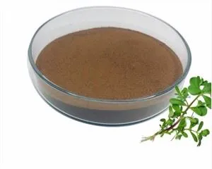 Portulak ekstrakt pulver