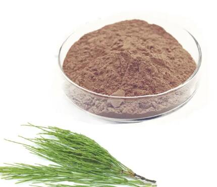 Equisetum Arvense ekstrakt